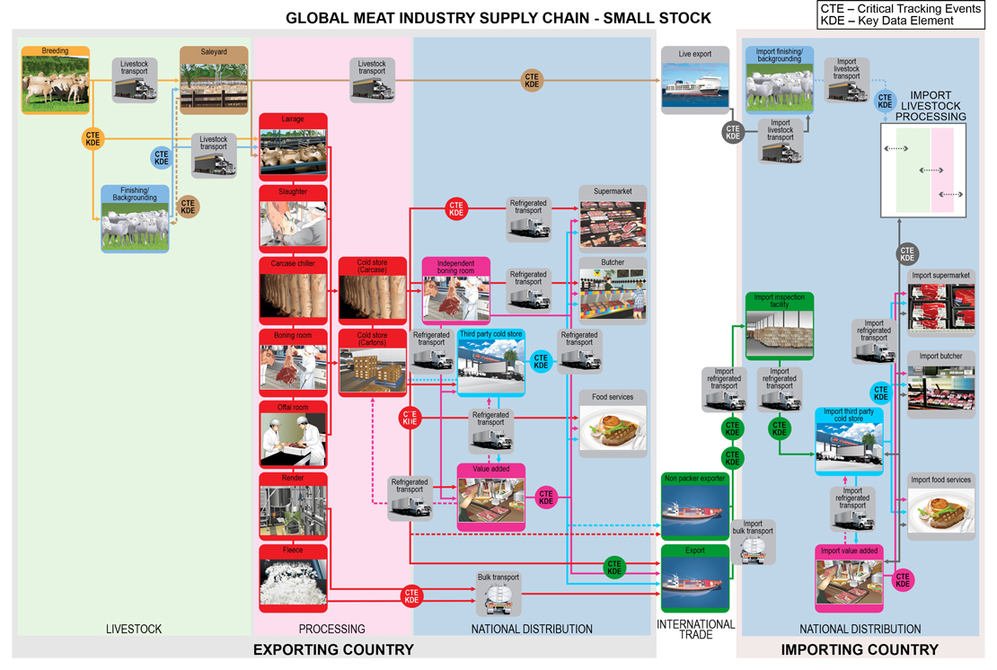 Small Stock (sheep, veal and goat) Supply Chain Model